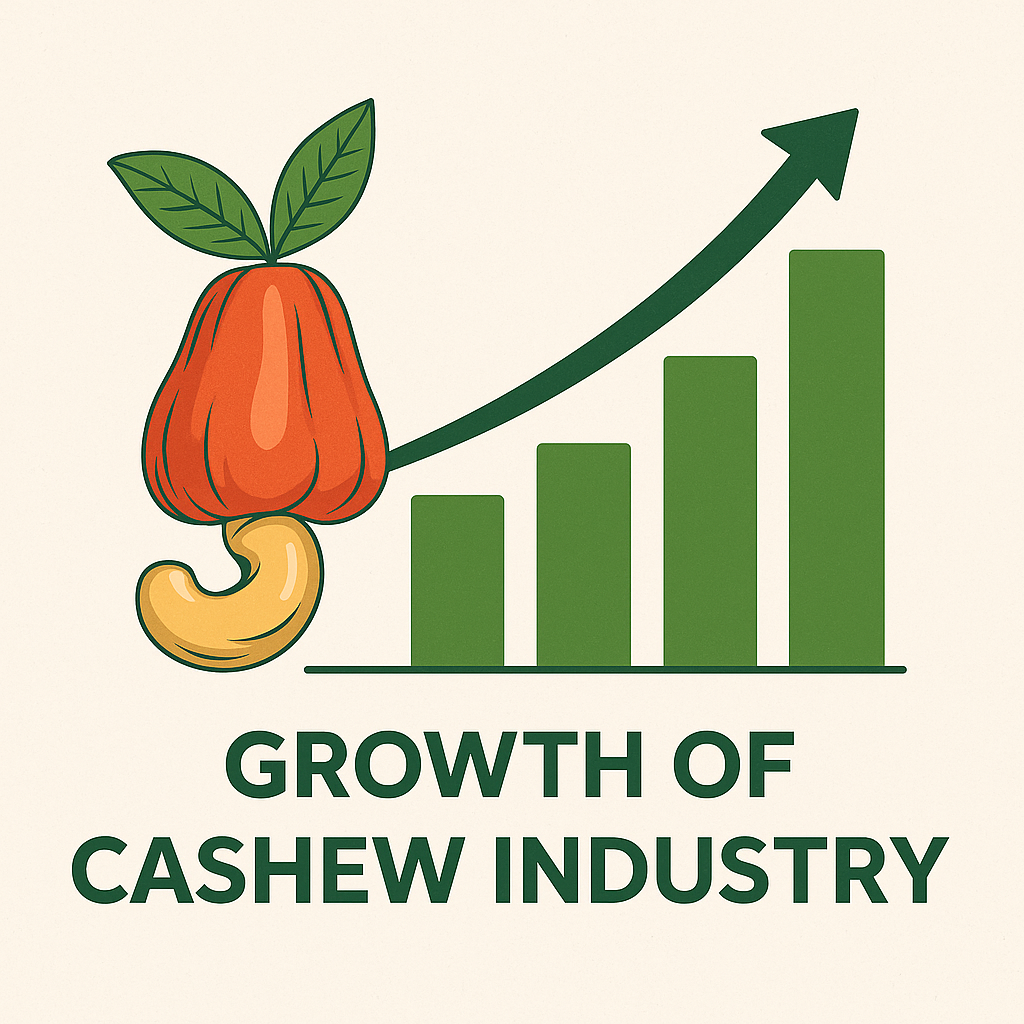 Hạt điều và chiến lược phát triển bền vững