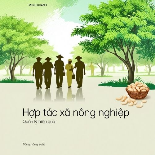 Hợp tác xã nông nghiệp giúp quản lý vùng nguyên liệu hạt điều hiệu quả, tăng năng suất và đảm bảo chất lượng ổn định.