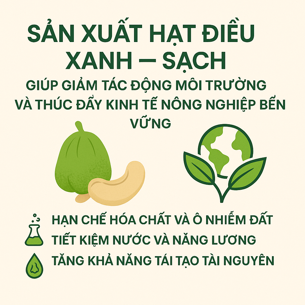 Sản xuất hạt điều xanh– sạch giúp giảm tác động môi trường và thúc đẩy kinh tế nông nghiệp bền vững