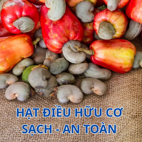 Ngành thực phẩm hữu cơ mở ra cơ hội lớn cho hạt điều sạch, tự nhiên và đạt tiêu chuẩn quốc tế